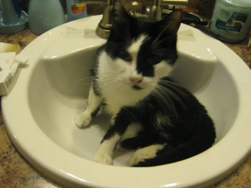 #2 Bathroom sinks (sylvar, Flickr, CC BY 2.0)