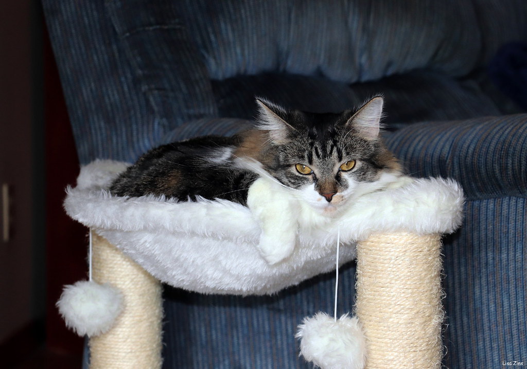 Conclusion (Image Credits: Flickr)