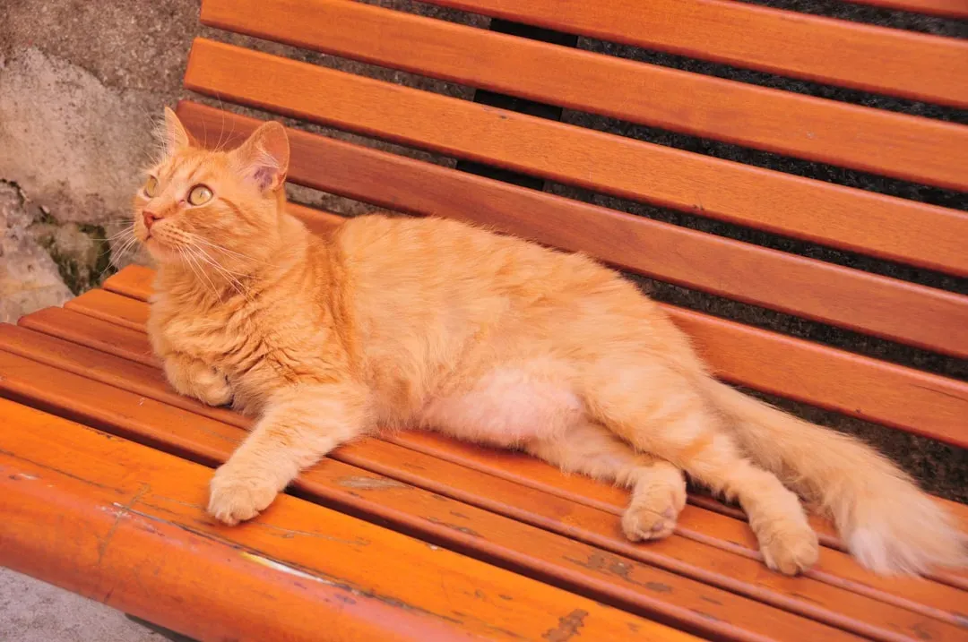 The Risks Hidden in That Golden Light (Image Credits: Unsplash)