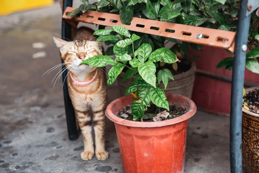 1. Choose Plants Your Cat Can Actually Enjoy (Image Credits: Unsplash)