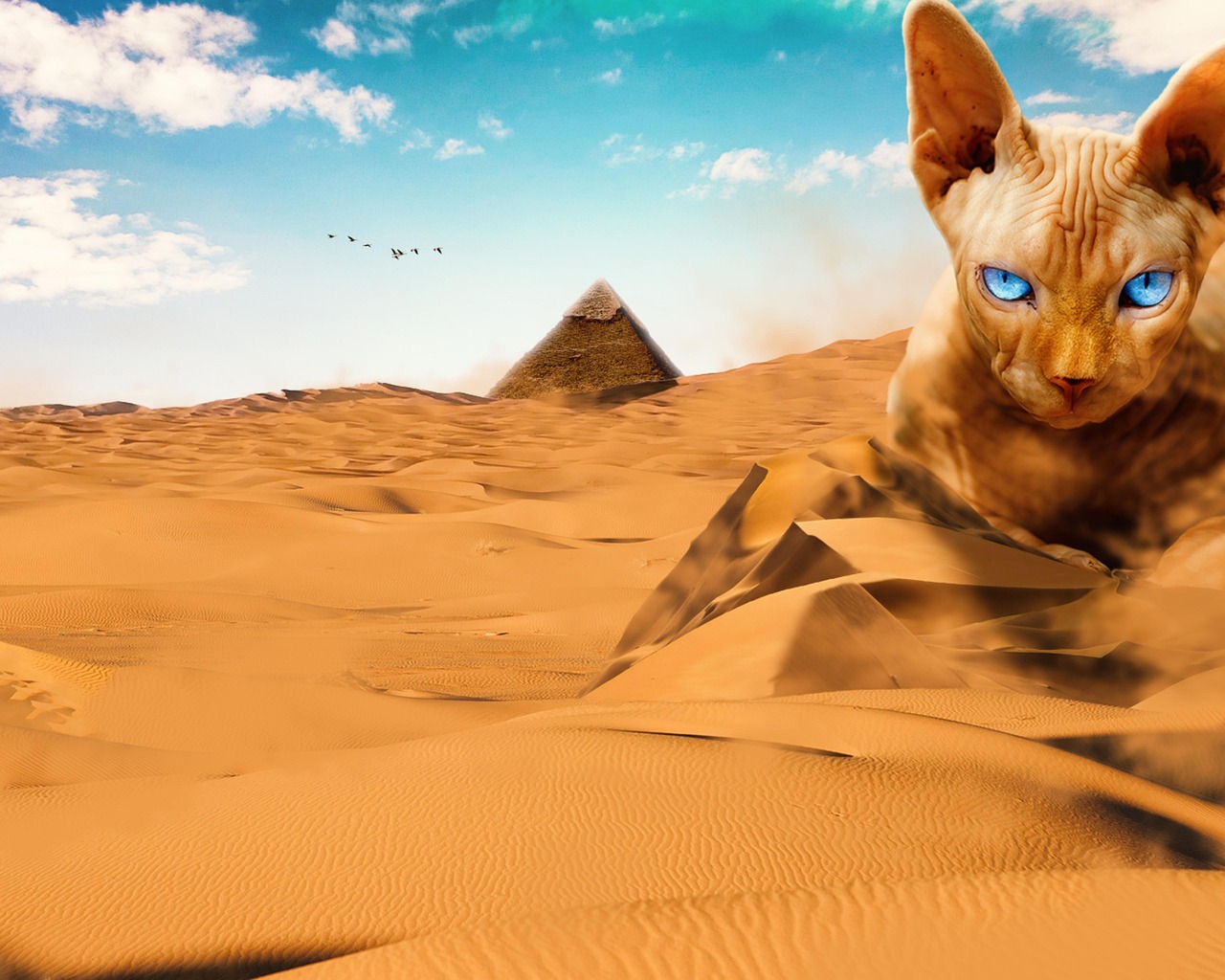 Ancient Wisdom and Sacred Connections (Image Credits: Pixabay)