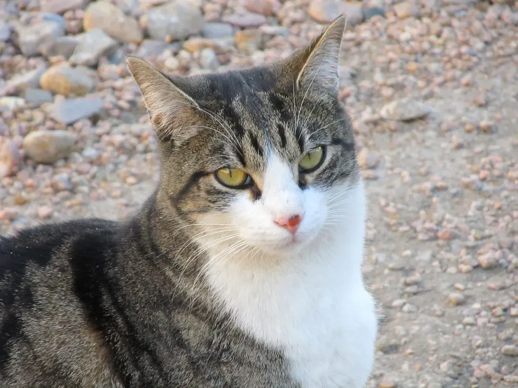 Conclusion (Image Credits: Flickr)