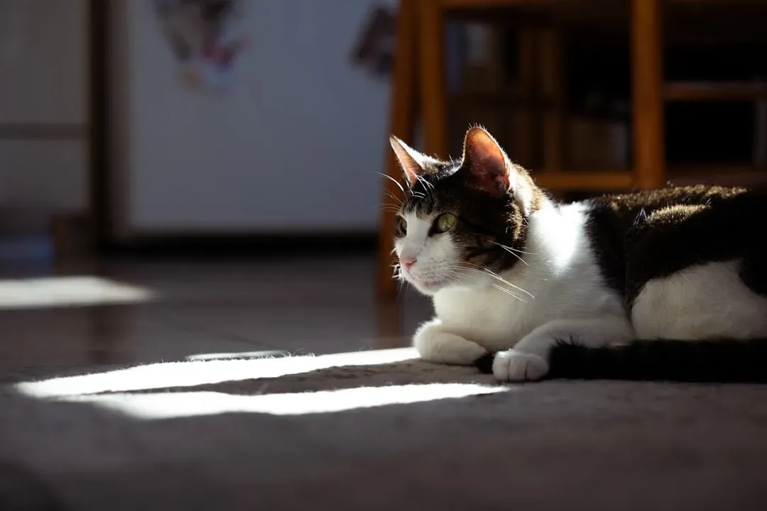 Building Stability Through Environmental Consistency (Image Credits: Unsplash)