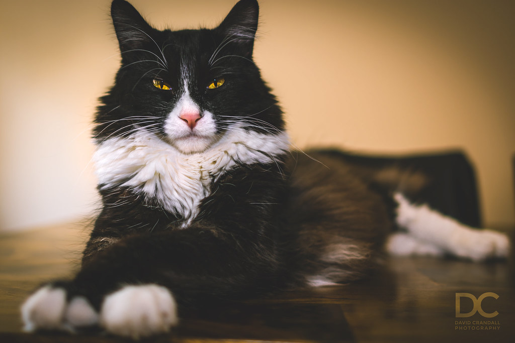 Modern Science Reveals the Complexity (Image Credits: Flickr)