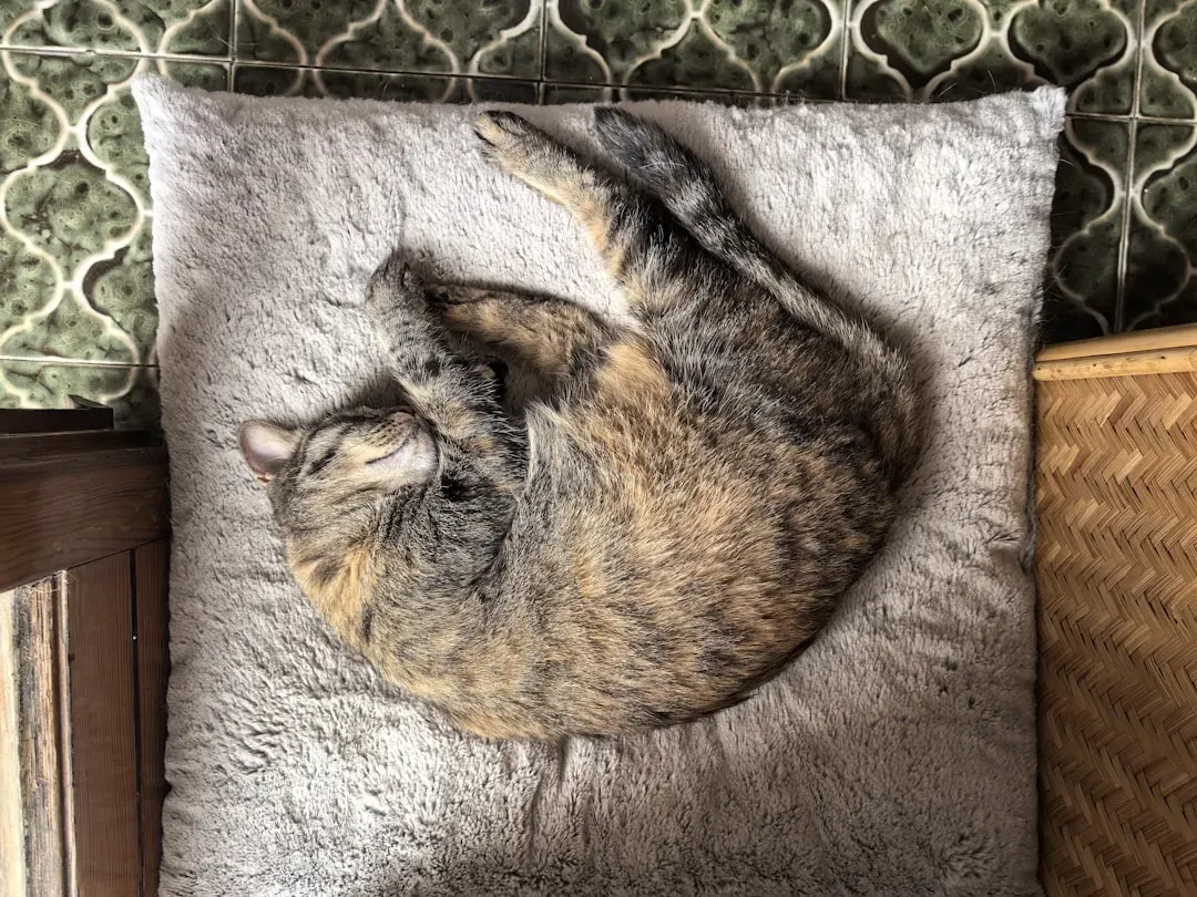 Territory Claiming in Slow Motion (Image Credits: Unsplash)