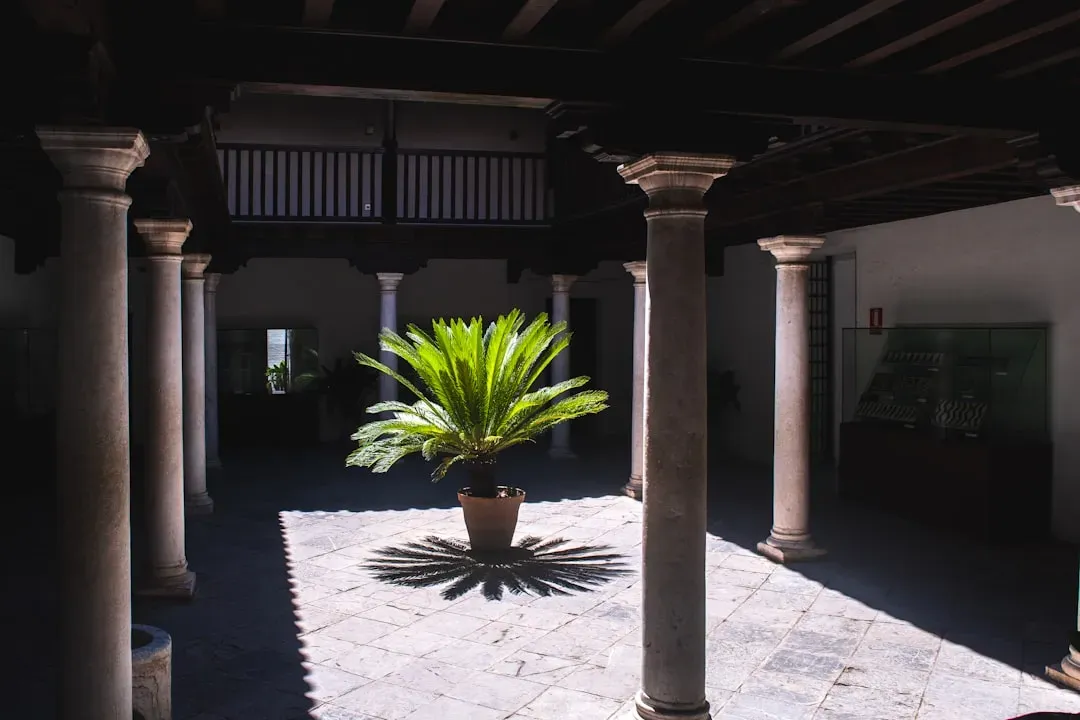 2. Sago Palm: The Tropical Deceiver With a Dark Secret (Image Credits: Unsplash)