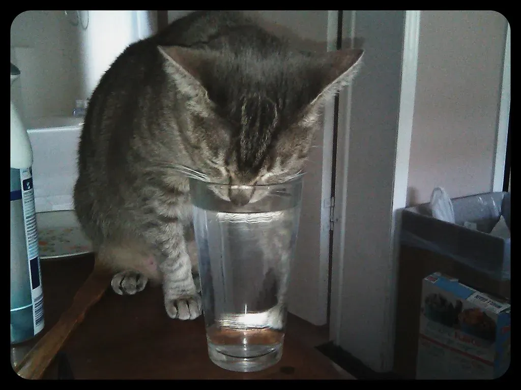 Conclusion (Image Credits: Flickr)