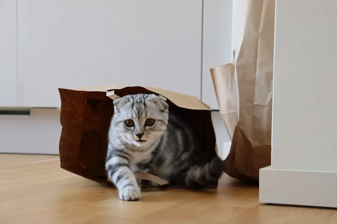 5. Paper Bags: A Crinkling, Rustling Tunnel of Joy (Image Credits: Unsplash)