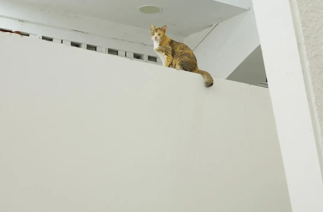 Safety from Threats Below (Image Credits: Unsplash)