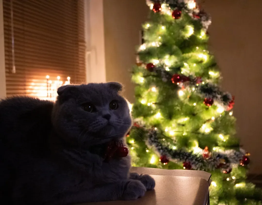 Location Strategy: Choose Your Tree's Spot Wisely (Image Credits: Unsplash)