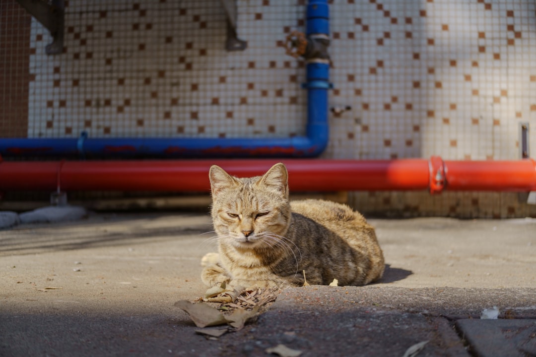 The Power of Living in the Present Moment (Image Credits: Unsplash)