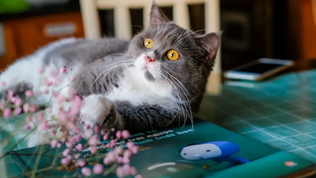 The Puzzle Toy Problem-Solver: Your Cat Is a Secret Genius (Image Credits: Unsplash)