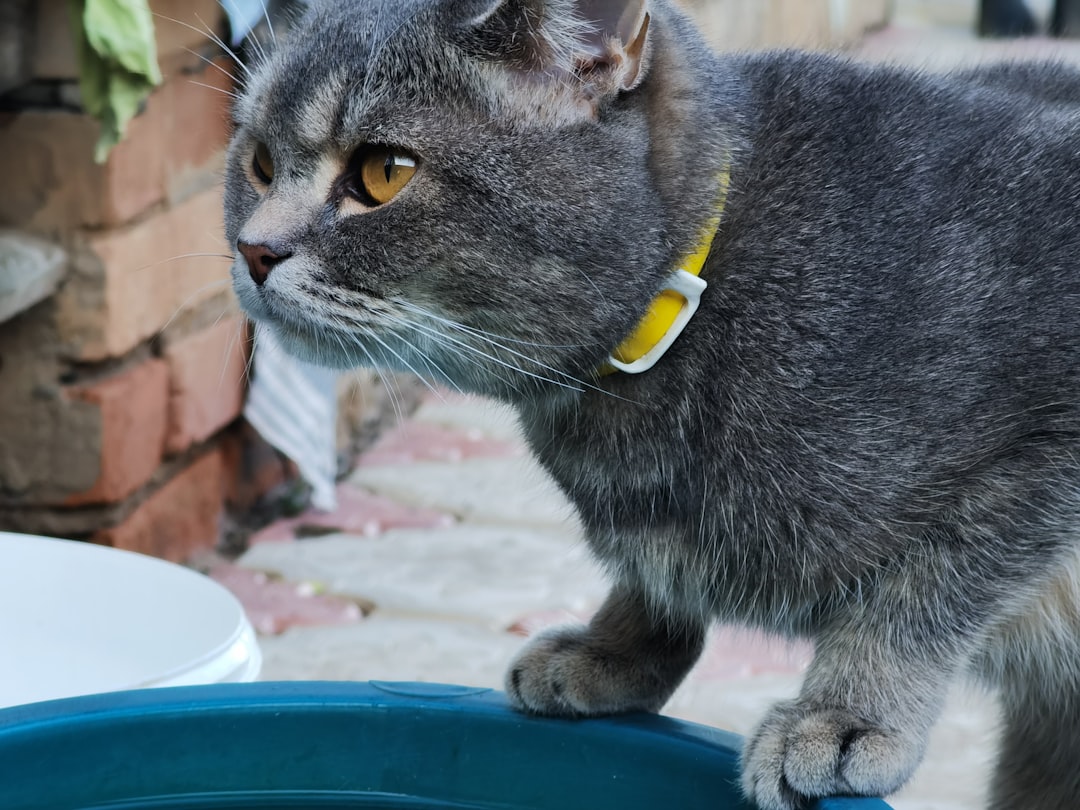 Prevention is Your Best Strategy (Image Credits: Unsplash)