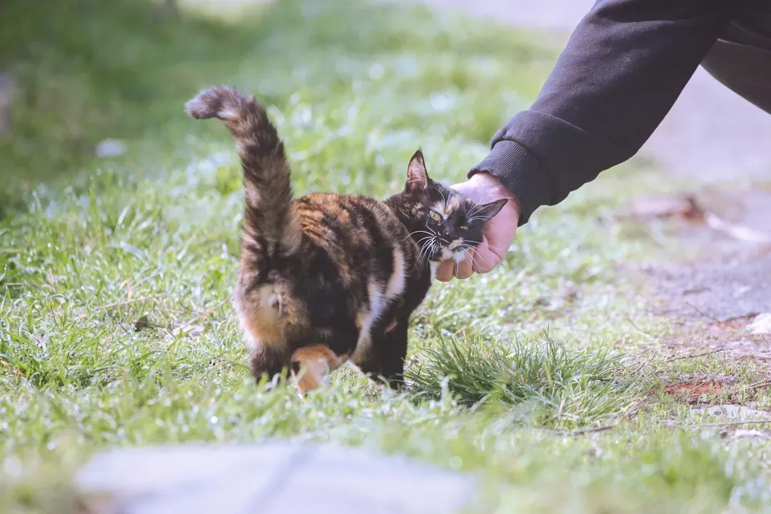 #3. Being allowed to choose the interaction (Image Credits: Unsplash)