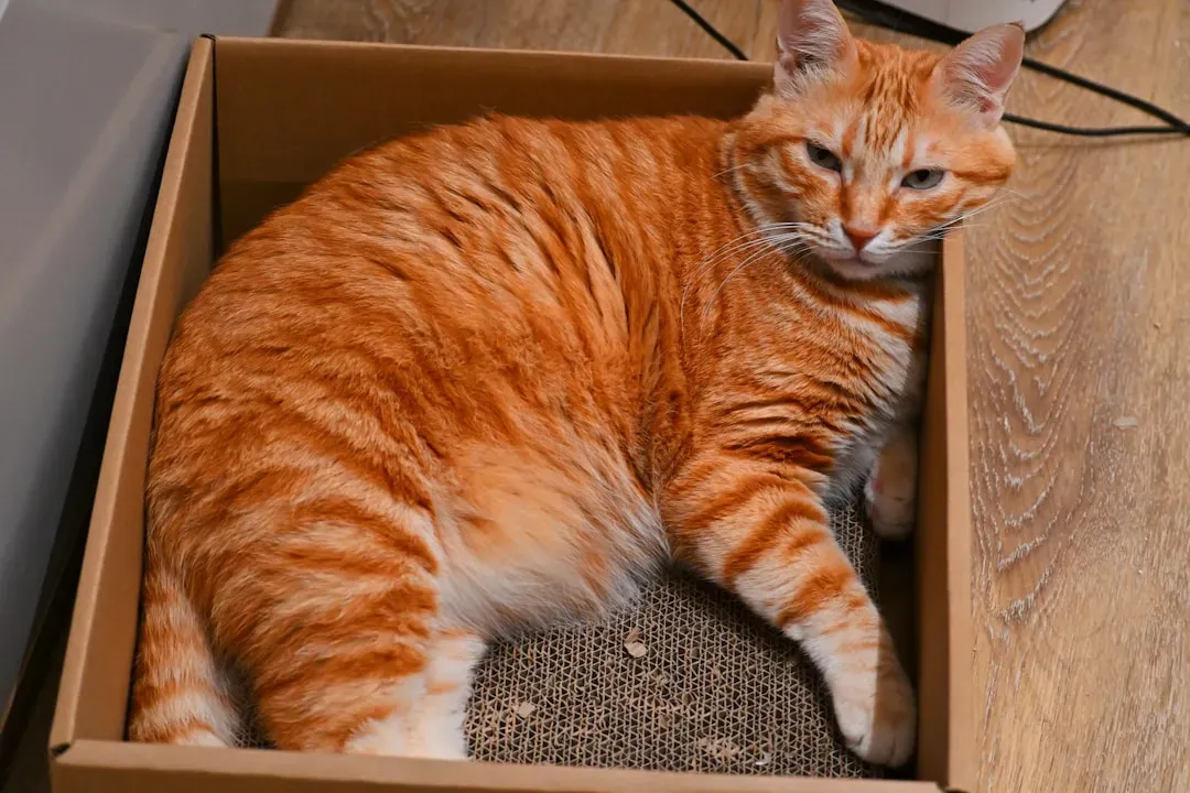 Territory Marking and Ownership Claims (Image Credits: Unsplash)