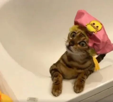 Loss of Control Triggers Deep Anxiety (Image Credits: Flickr)