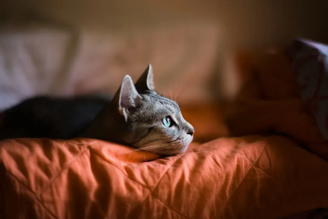 A Final Thought Worth Carrying With You (Image Credits: Unsplash)