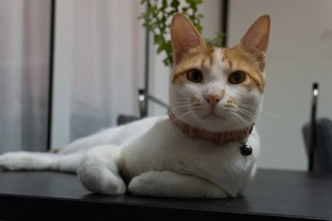 How to Reduce Unwanted Prey Presentations (Image Credits: Unsplash)