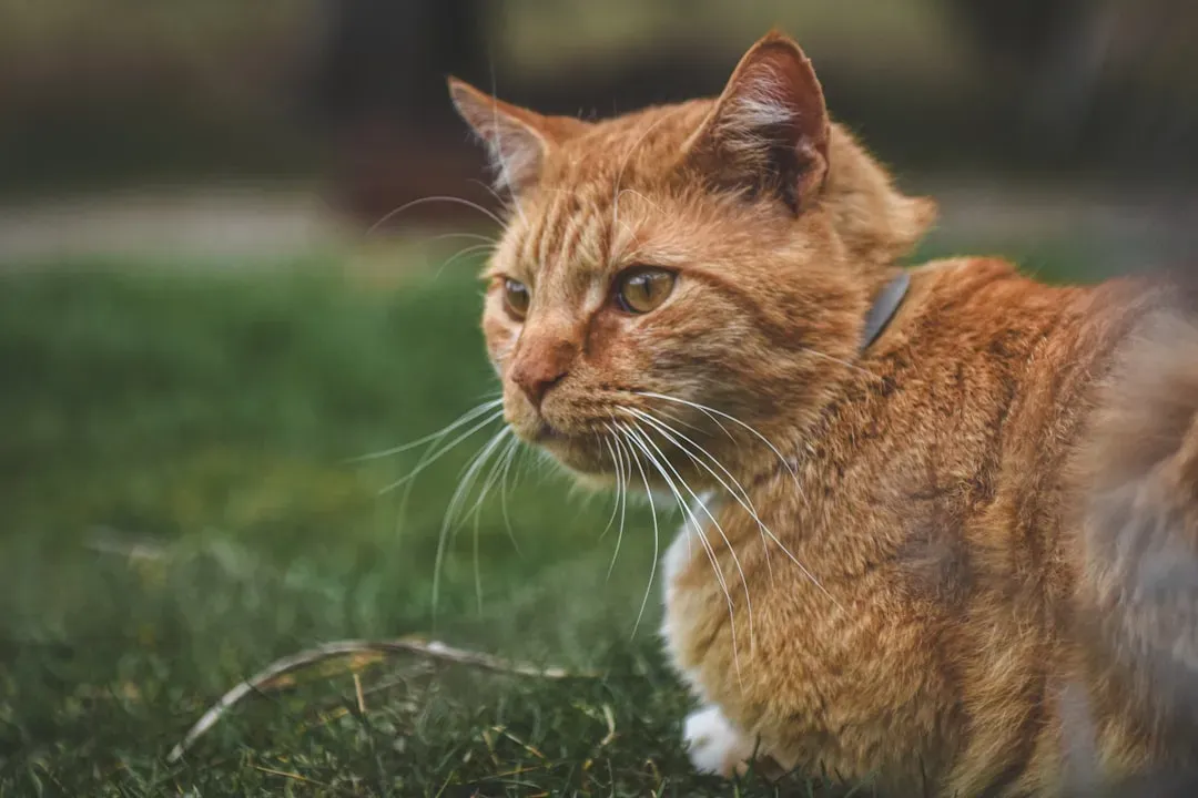 Conclusion (Image Credits: Unsplash)