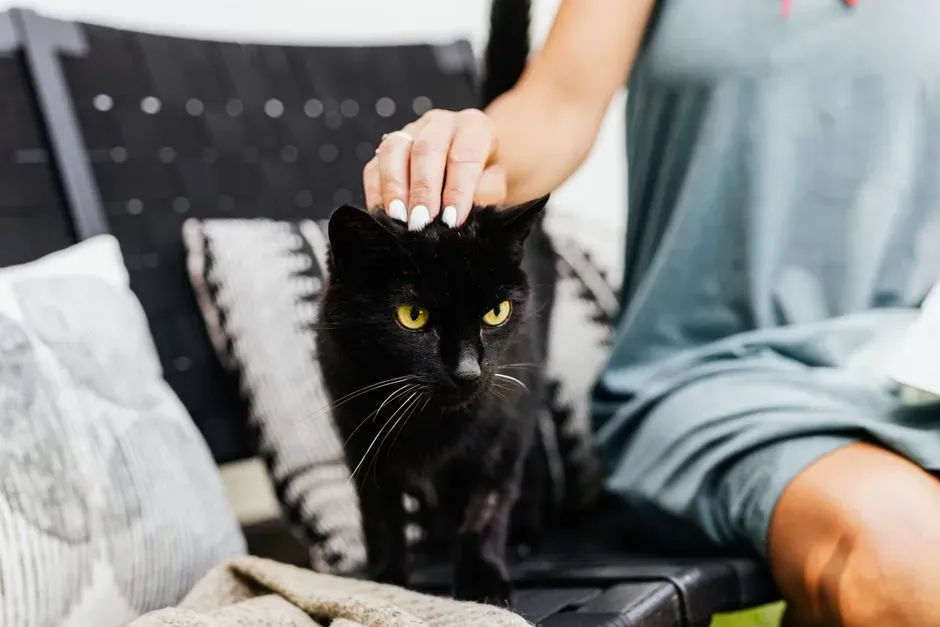 #11 - Separation-Related Behavior Is More Common Than People Admit (Image Credits: Pexels)