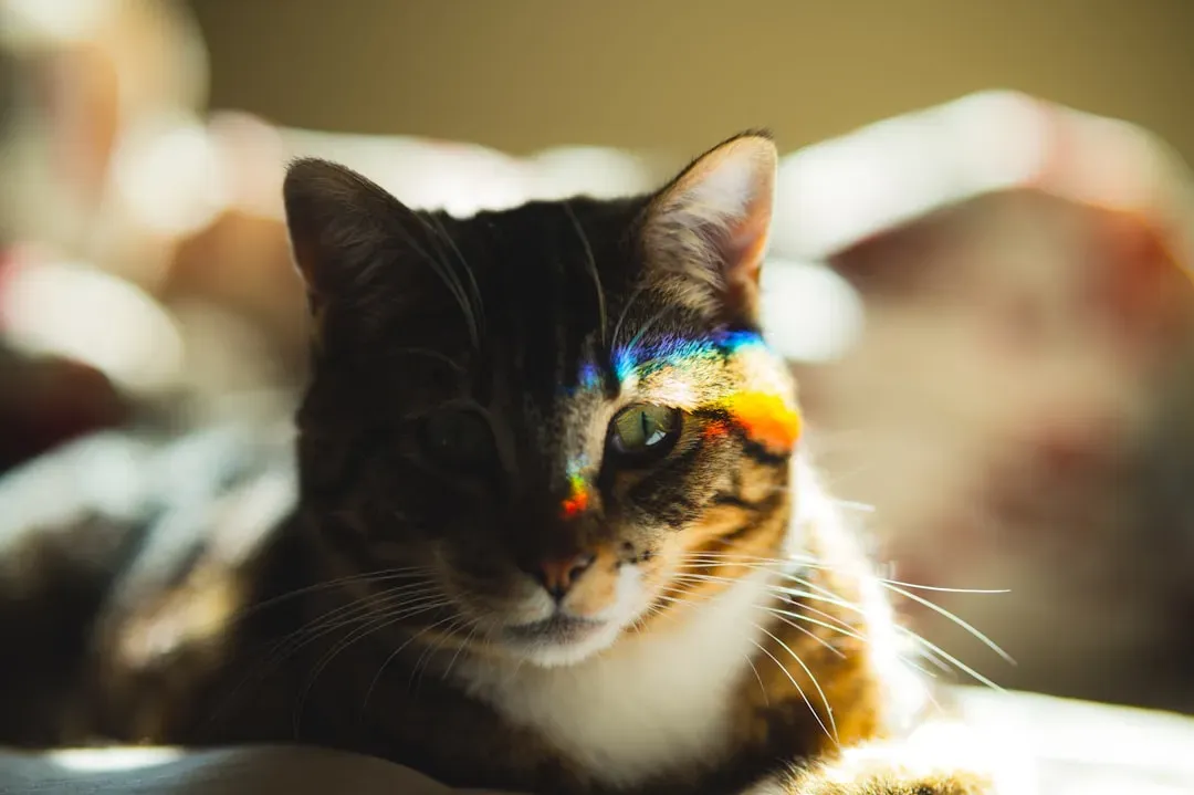 A Color World That Looks Nothing Like Yours (Image Credits: Unsplash)