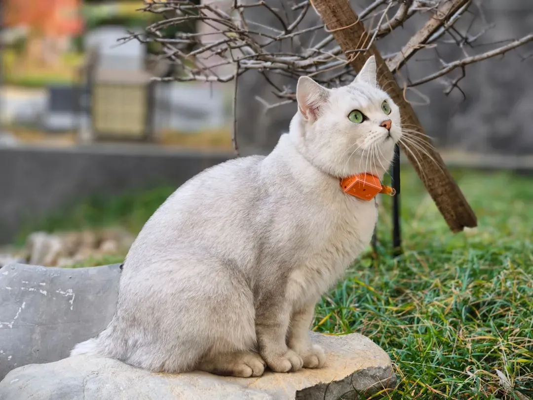 5. Use Scent Deterrents Around Sensitive Areas (Image Credits: Unsplash)