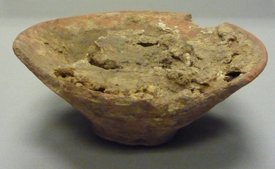 Ancient Plant Resins and Their Preserved Aromas (Image Credits: Wikimedia)