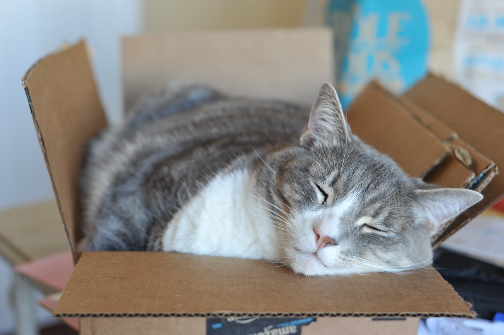 Temperature Control: The Perfect Thermal Zone (Image Credits: Flickr)