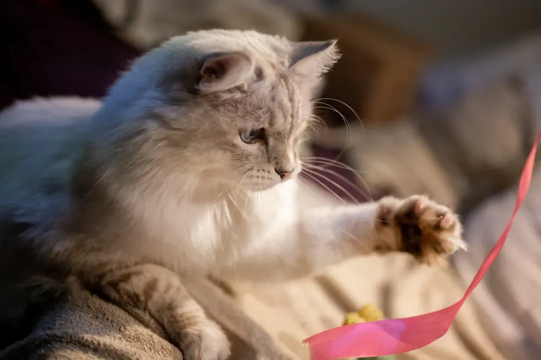 How to Channel That Energy Before Bedtime (Image Credits: Unsplash)