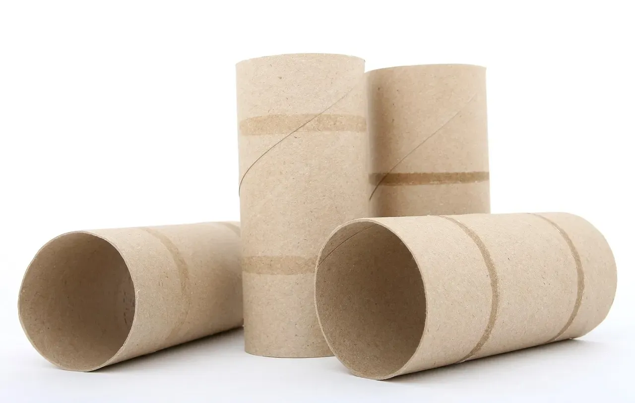 Toilet Paper Rolls Turn Into Puzzle Masterpieces (Image Credits: Pixabay)
