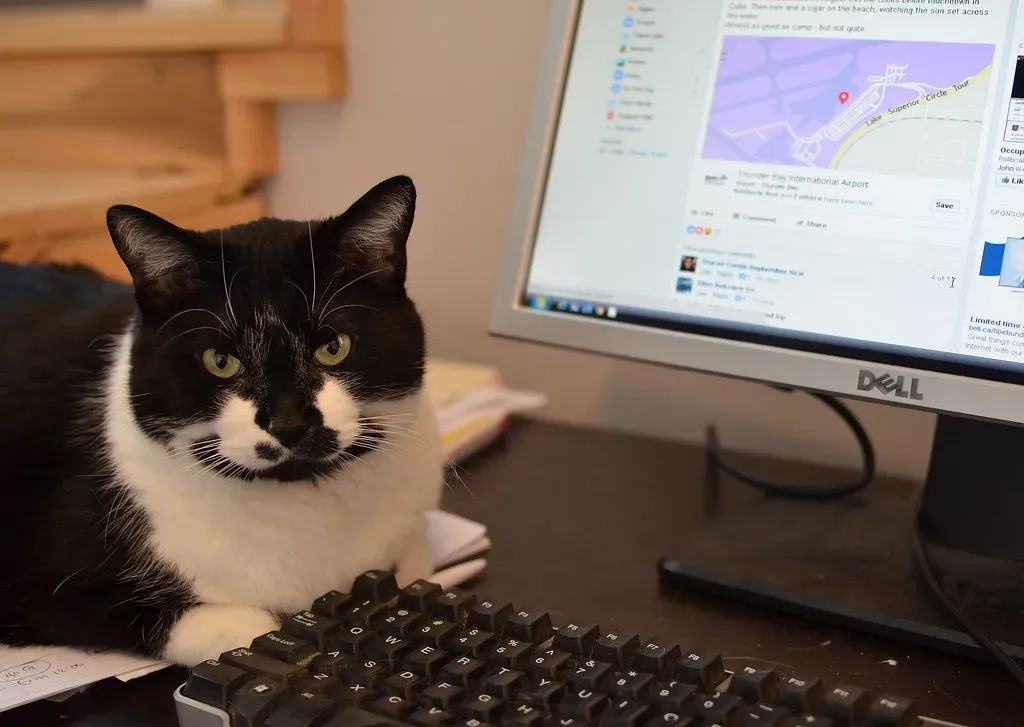 11. Ultrasonic Sounds from Electronics (retiredinwasaga, Flickr, CC BY 2.0)