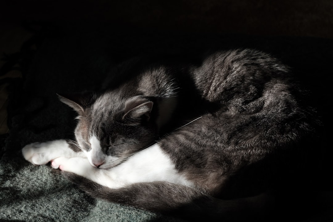 The Ultimate Expression of Trust (Image Credits: Unsplash)