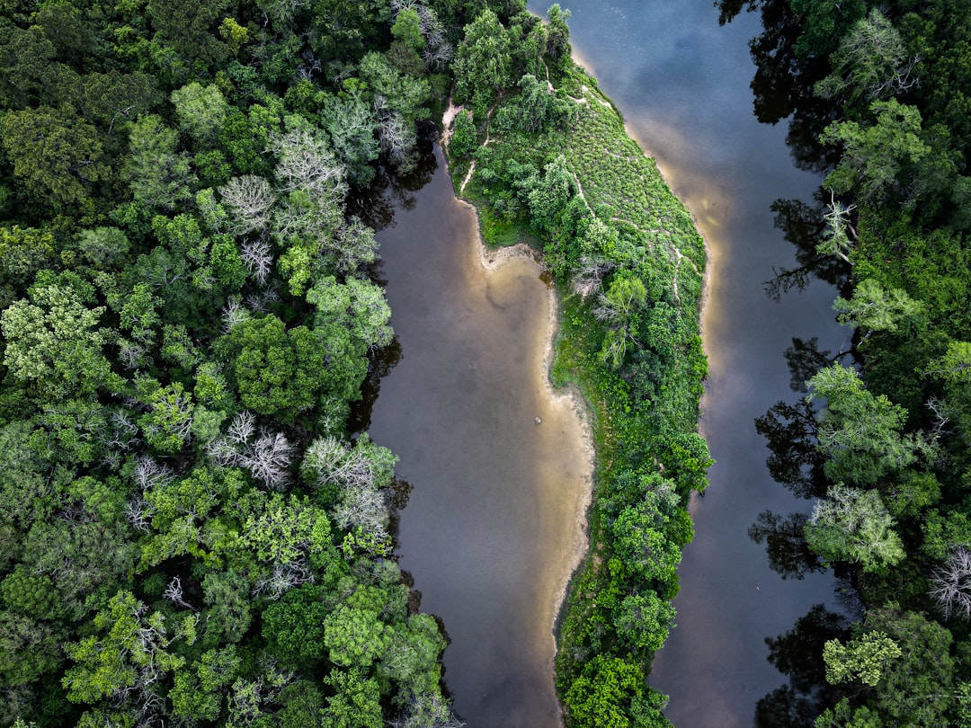 Tectonic Forces: The Ultimate River Directors (Image Credits: Unsplash)