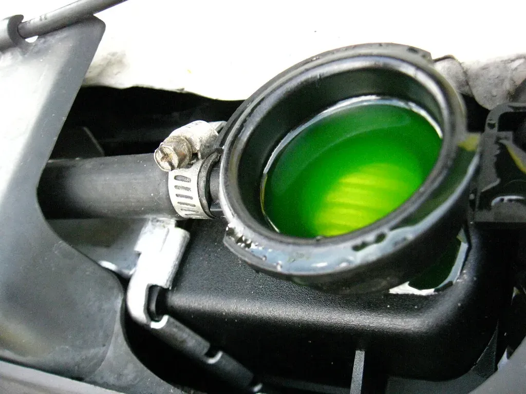6. Antifreeze - Sweet, Deadly, and Dangerously Easy to Find (Image Credits: Flickr)