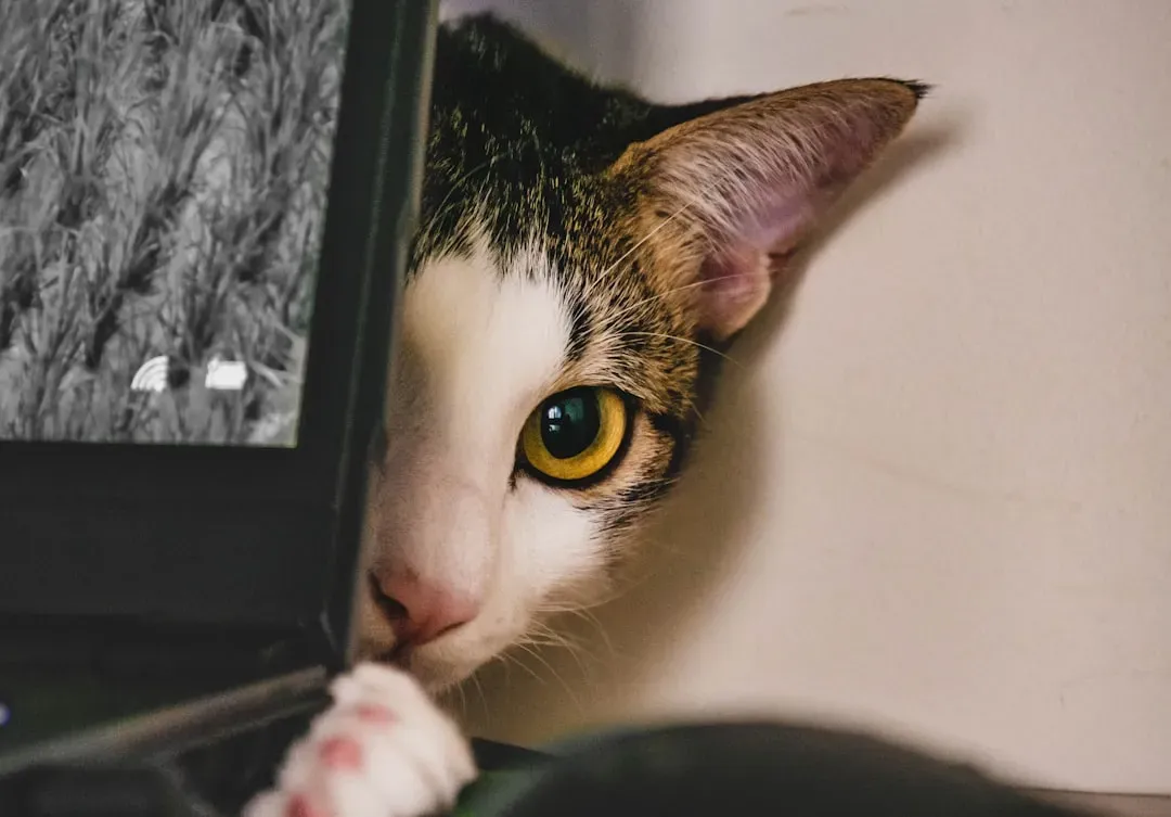 12. High-Frequency Flicker in Screens and Artificial Light (Image Credits: Unsplash)