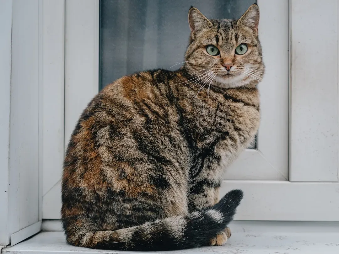 #1 - Camping By The Door Minutes Before You're Due Home (Image Credits: Unsplash)
