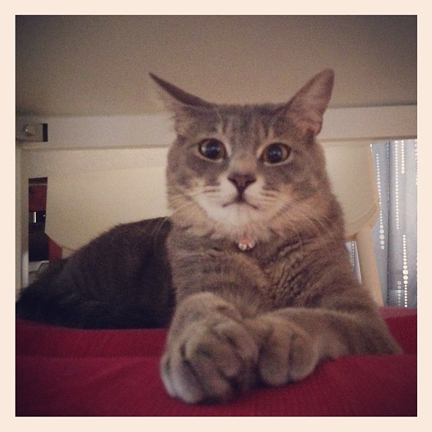 Creating Safe Spaces for Healing (Image Credits: Flickr)