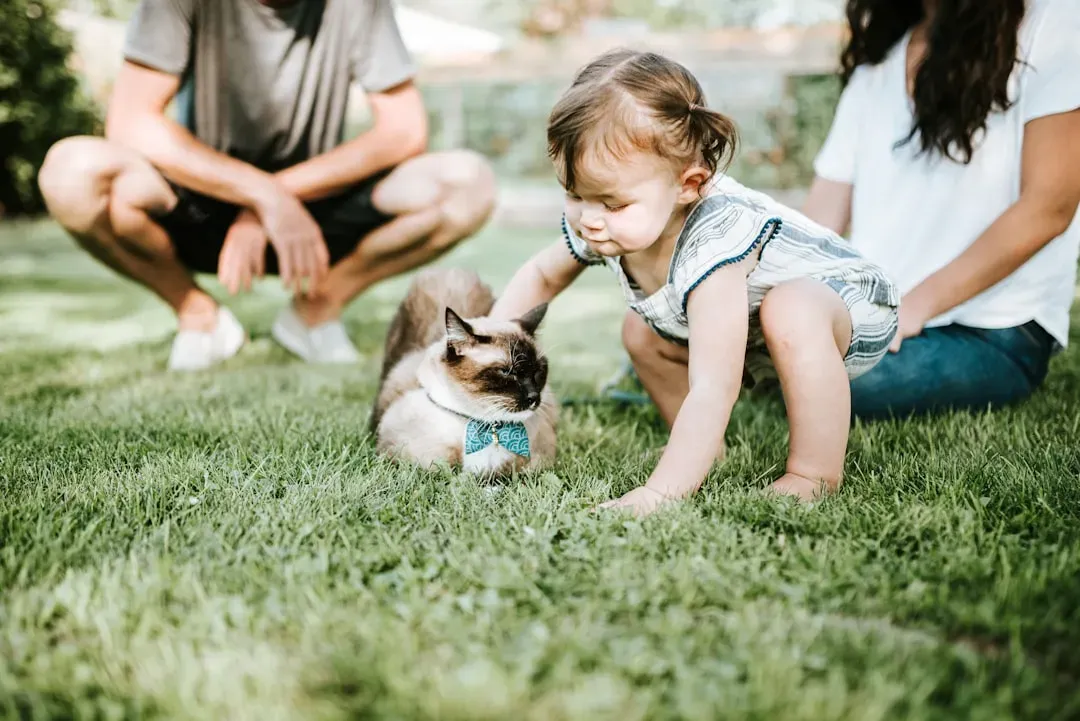 Conclusion: Choosing a Cat You Can Truly Connect With (Image Credits: Unsplash)