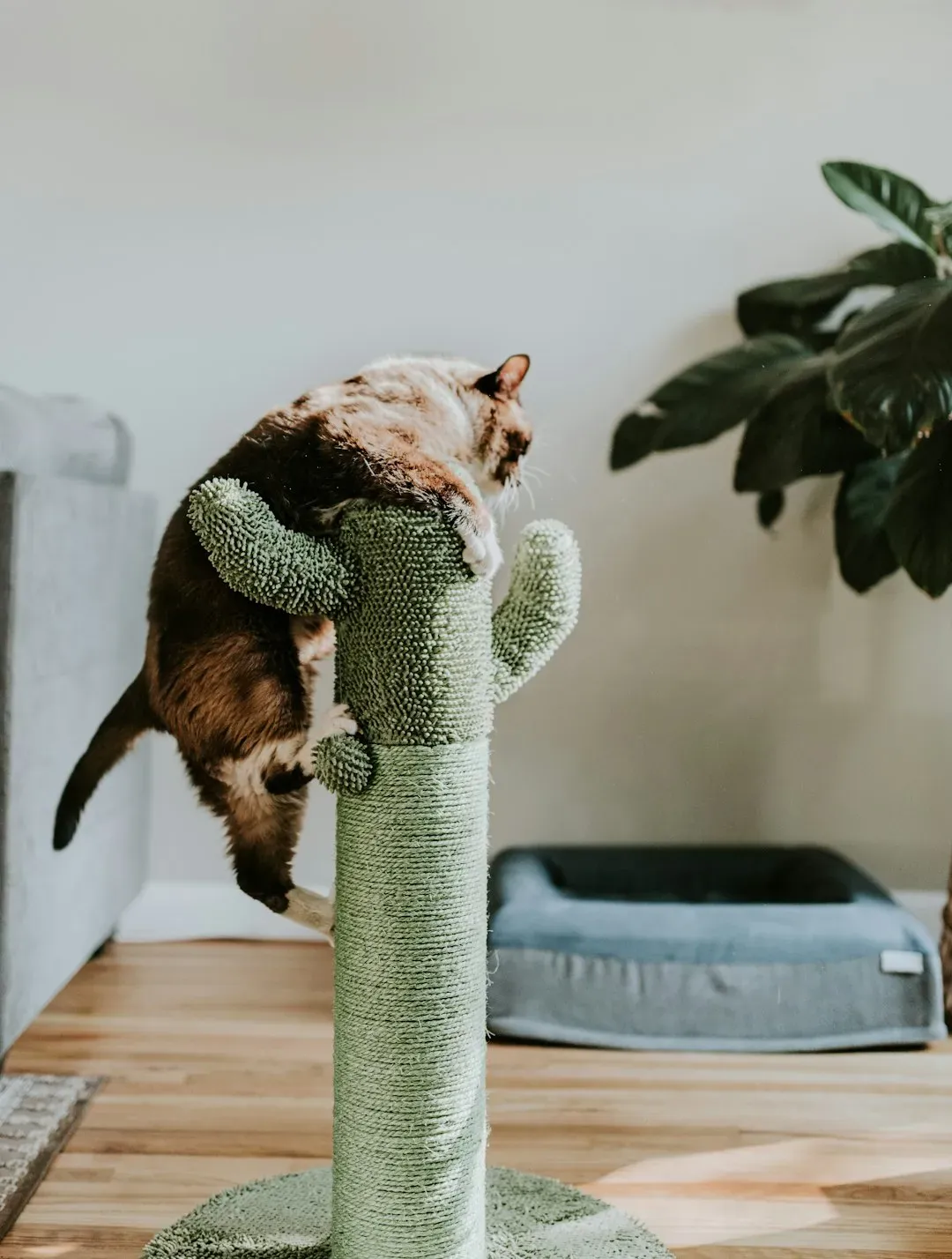 #11 - Buying Designer Cat Furniture That Matches Human Decor (Image Credits: Unsplash)