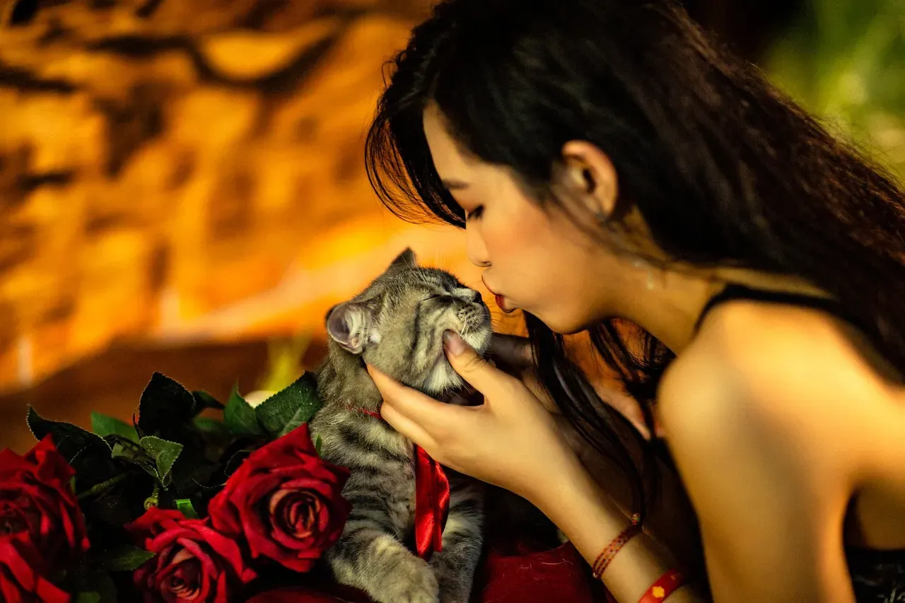 #11 - Out of Everyone in the House, She Chose You (Image Credits: Pixabay)
