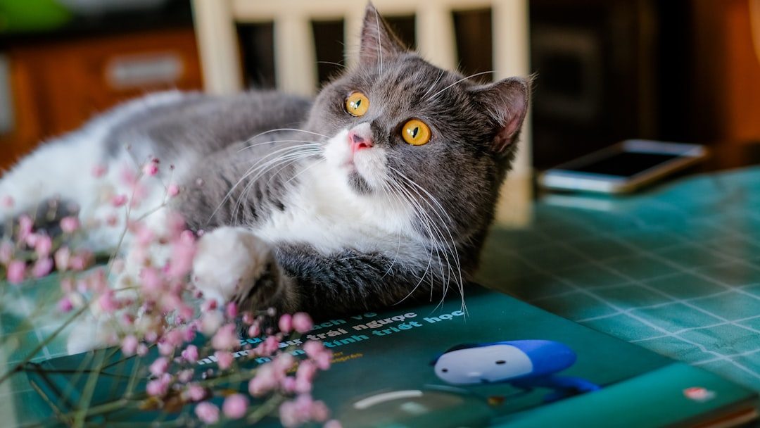 The Puzzle Solvers: Mental Stimulation Seekers (Image Credits: Unsplash)