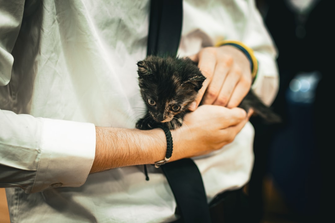 Early Socialization Windows and Critical Periods (Image Credits: Unsplash)