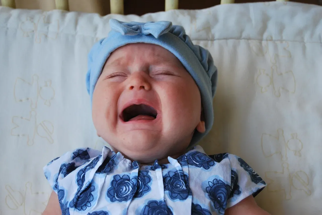 Babies Crying and Children Shrieking: Too Close to Danger Signals (Image Credits: Pixabay)
