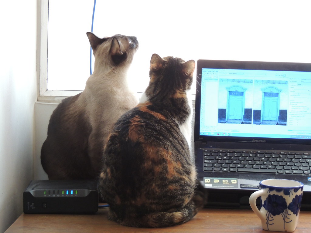 Height Advantage and Surveillance (Image Credits: Flickr)