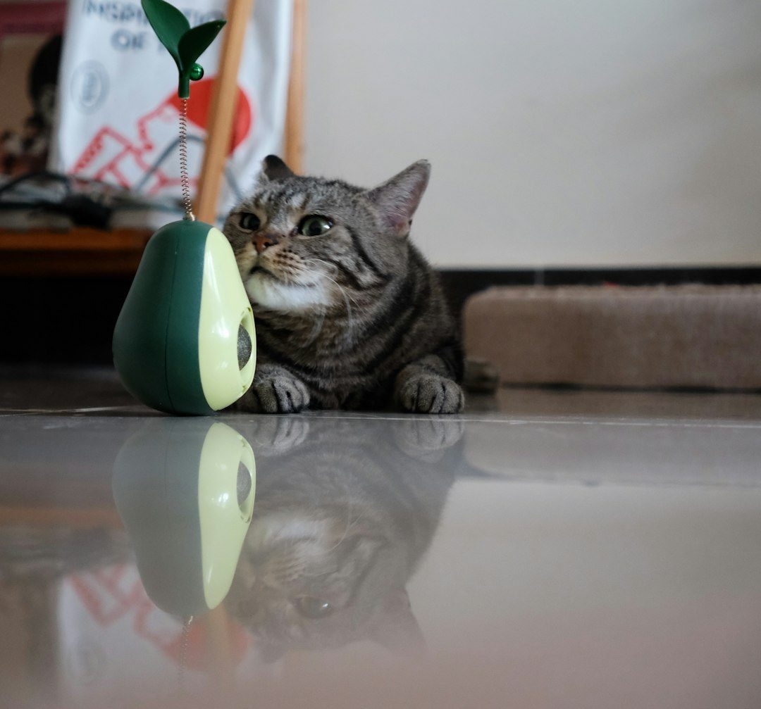 Sensory Rotation and Exploration Zones (Image Credits: Unsplash)