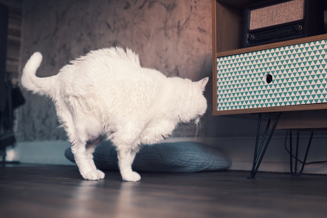 Practice Site Swapping (Image Credits: Unsplash)