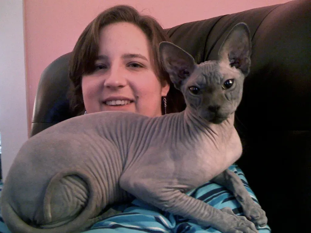 Sphynx: The Attention-Seeking Snuggler (Image Credits: Flickr)