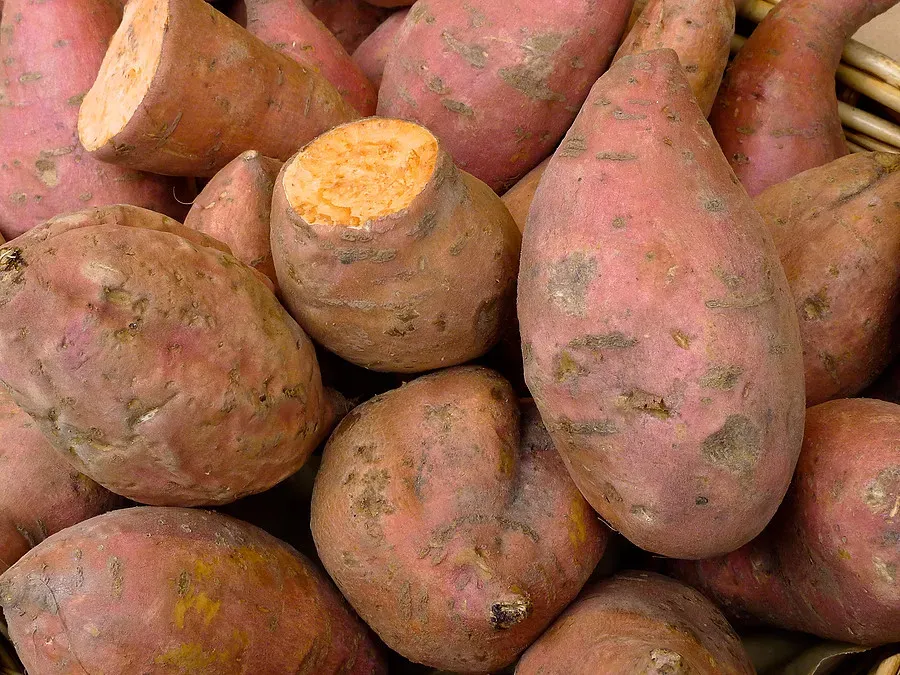 14. Cooked Sweet Potato - A Vitamin-Rich Comfort Food (Image Credits: Flickr)