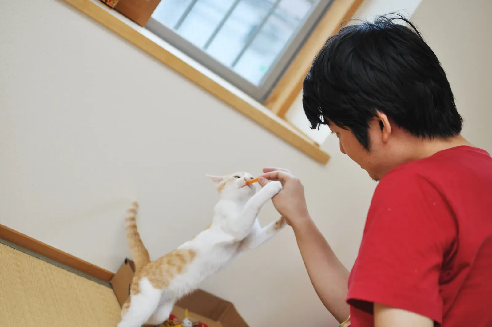 They Feel Vulnerable and Want Your Protection (Image Credits: Wikimedia)