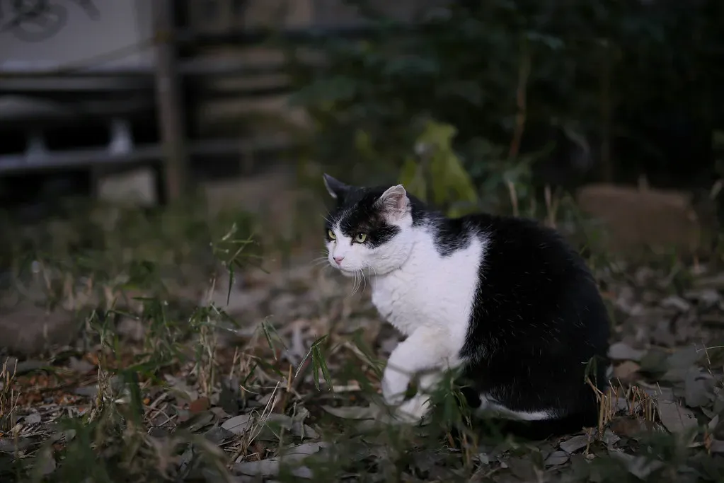 7. Creating Predictable Routines (Image Credits: Flickr)